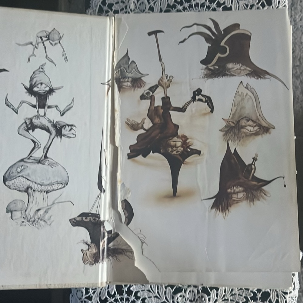 Faeries 1978 hardcover vintage Illustrated Book by Brian Froud and Alan Lee - Picture 9 of 10